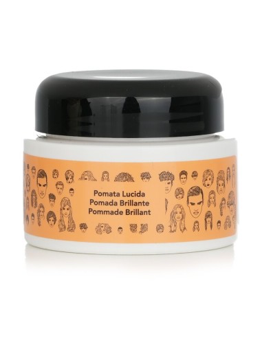Alfaparf Pomada Brillante Style 100ml - TheBeautyCool