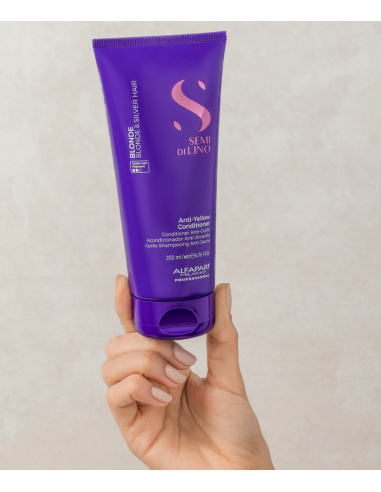 Alfaparf Acond. Anti-Amarillo 250ml - TheBeautyCool