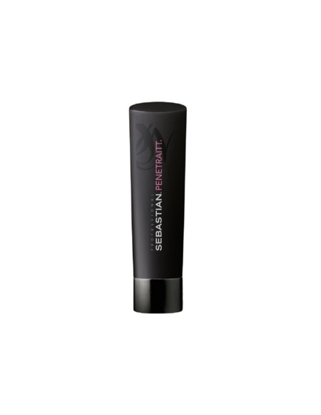 Sebastian Champú Penetraitt 250ml - TheBeautyCool