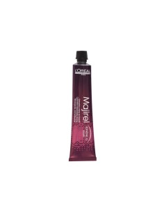L'Oreal Majirel 8.31 Absolu Tinte 50ml - TheBeautyCool